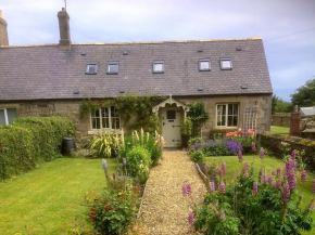 Alncroft- 28486